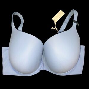 Aerie Blue T-Shirt Bra with Molded Cups